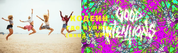 стаф Аркадак