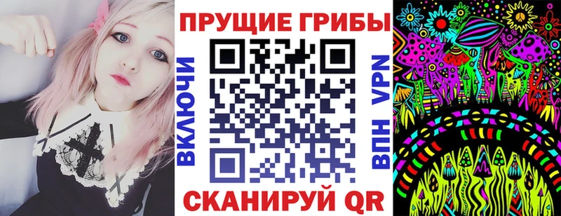 где можно купить   darknet наркотические препараты  Псилоцибиновые грибы мухоморы  Малая Вишера 